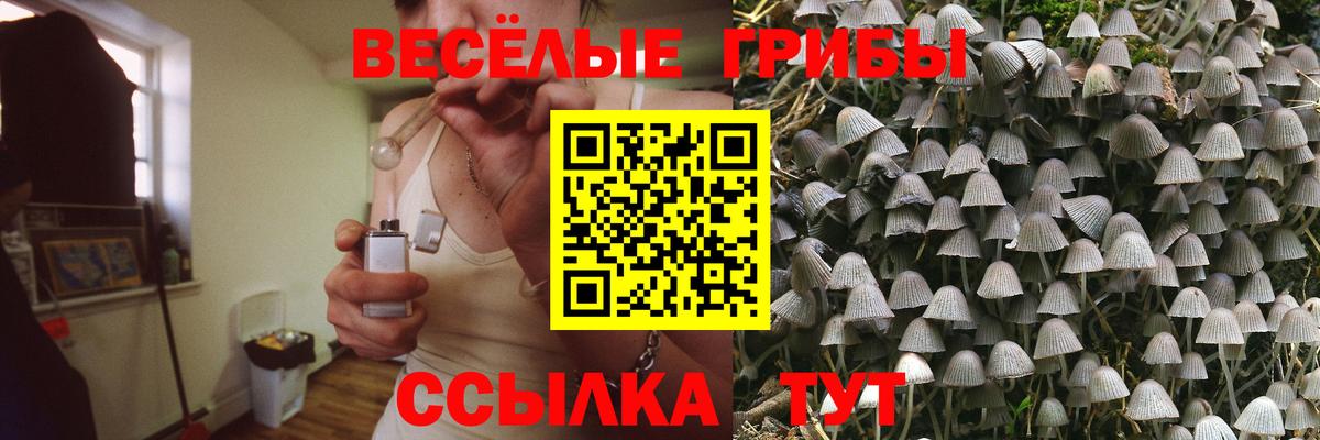 Галлюциногенные грибы Psilocybine cubensis  Вход с VPN  Нижний Новгород 